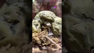 О каких еще особенностях вам рассказать? 