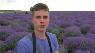 Поездка в Молдову. Цены, достопримечательности, природа.