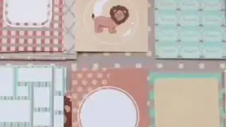 Коллекция 