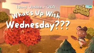 WHERE I'VE BEEN! | ISLAND UPDATE + Q&A // Animal Crossing New Horizons