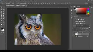Photoshop Feather Selection Tool - How to apply feather | What is use of feather tool