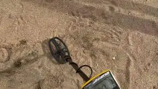 Garrett Apex and Minelab Vanquish 340 6