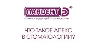 Что такое апекс в стоматологии?
