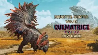 Monster Hunter Wilds: Quematrice (ケマトリス) Low Rank.