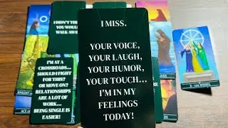 Hindi-Urdu ✨💫🩷 Their True Feelings For You ❤️✨💫 Timeless Tarot ✨❤️💫