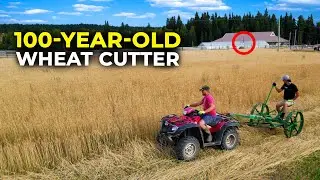100-Year-Old Sickle Mower: You Won’t Believe This Harvest!