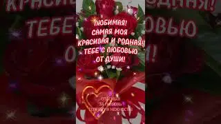 26 февраля 2024 г.