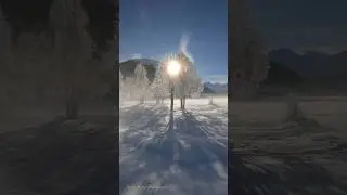 Winter in 