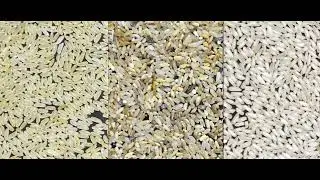 AMD RH series rice sorting/sortex machines adopt the industry's unique high dynamic UHDR technology