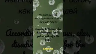 Нити