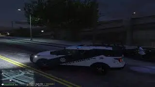 [LSPDFR] GTA V [STATE TROOPER] - Stupid people