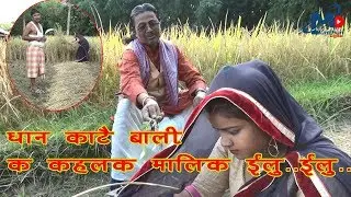 धान काटे बाली कहलक मलिक इलु..इलु..Maithli Comedy Video