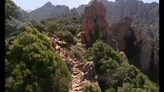 Camping Les Oliviers à Porto en Corse