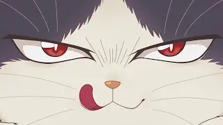 Midix - Соврал ^‥^ (OFFICIAL CAT)