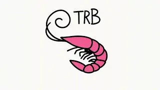 Shrimp Type Beat