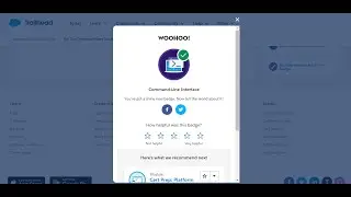 Command-Line Interface | Salesforce