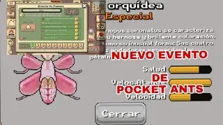 💥NUEVO EVENTO DE PASCUA POCKET ANTS💥
