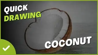как рисовать кокос \ How to draw a coconut
