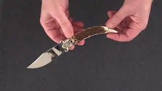 AGA Campolin Diana-распаковка,первые впечатления,небольшой обзор.