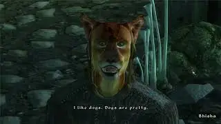 I like dogs