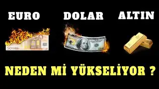 EURO, DOLAR VE ALTIN NEDEN Mİ YÜKSELİYOR?