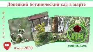 Донецкий ботанический сад в марте