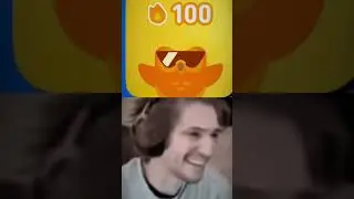 When you lose your streak in Duolingo