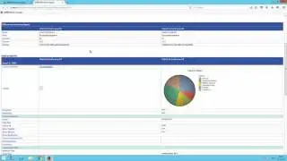 The Platform Manager - Promotion Manager role (short version)