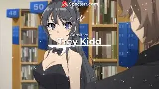 Trey Kidd - Sensitive [2024 mix] (Audio)