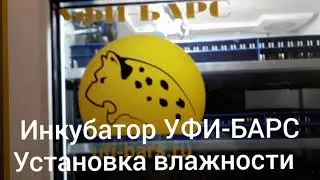 Инкубатор УФИ-БАРС. Установка влажности