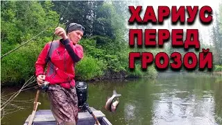 Ловля хариуса в таежной речке. Перед грозой.