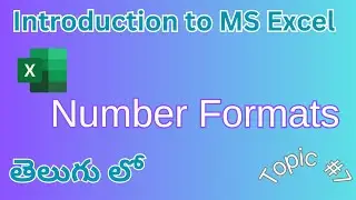 Excel Number Formats