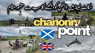 Scotland's Best Place to See Dolphins || Chanonry Point || London to Scotland || Trip 2024