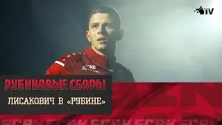 ВИТАЛИЙ ЛИСАКОВИЧ В «РУБИНЕ»