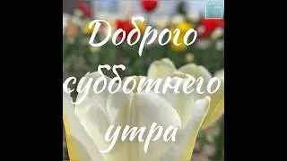 Доброе утро любимы Лаишевский район
