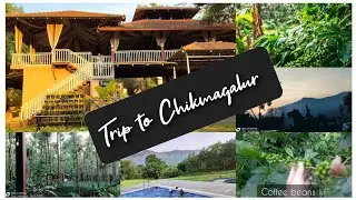 Trip to Chikmagalur #chikmagalur #trip #coffeeestate #beluru #hoysala