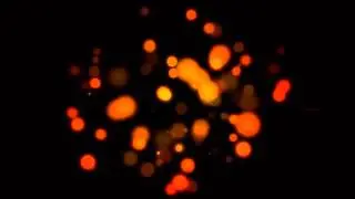 [k313] - Midnight Airplane (2013)