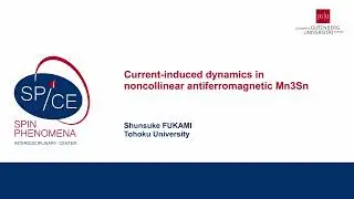 Talks - Terahertz Spintronics 2023 - Shunsuke FUKAMI, Tohoku University