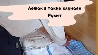 Улей Лежак в таких случаях рулит.Апидомик.Кормим пчел.