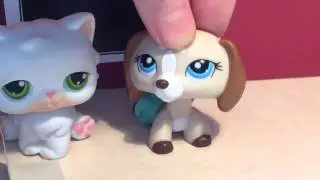 LPS: Топ 5 ситуаций в школе