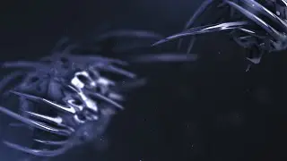 ORGANIC CINEMATIC TRAILER || AFTER EFFECTS