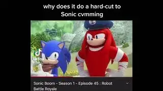 Sonic Acting Up 🤨📸