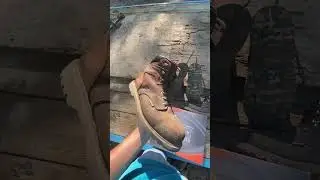 Tosafzxy $77 Work Boot Review!