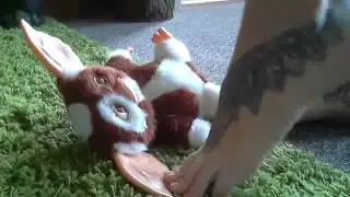Trampling Gizmo!