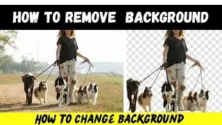 How to Remove Image Background | How to Change Photo Background