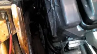 Звонкий стук что это.