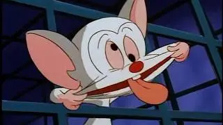 The Brain and Snowball's origin