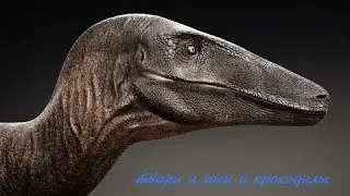 уважуймые мегеры (4 ежа и генка)