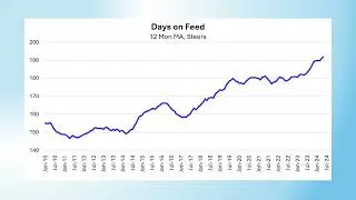 2024 Livestock Market Update