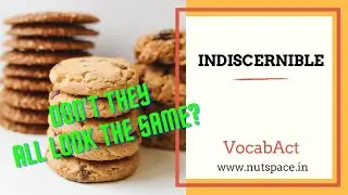Indiscernible Meaning & Pronunciation | English & Hindi Vocabulary | VocabAct